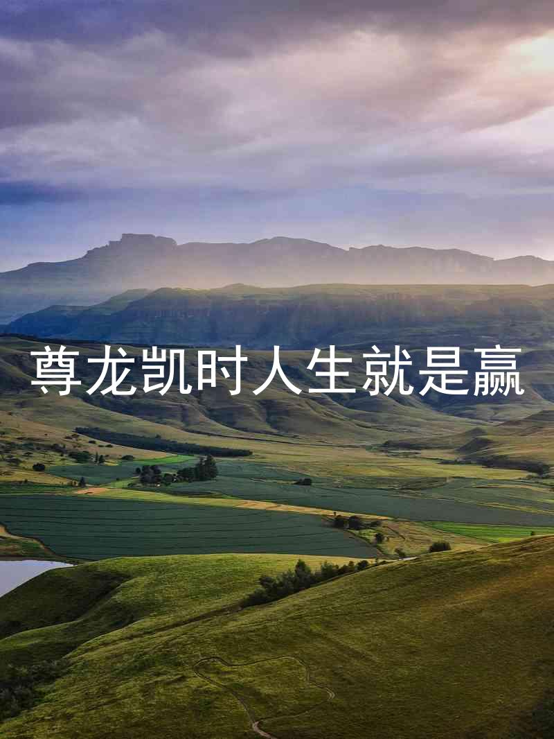 尊龙凯时人生就是赢