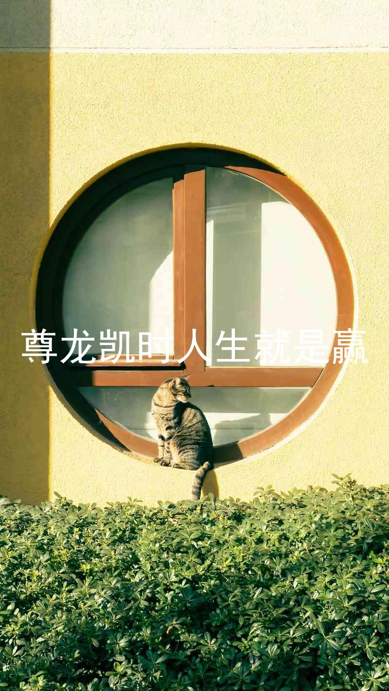 尊龙凯时人生就是赢