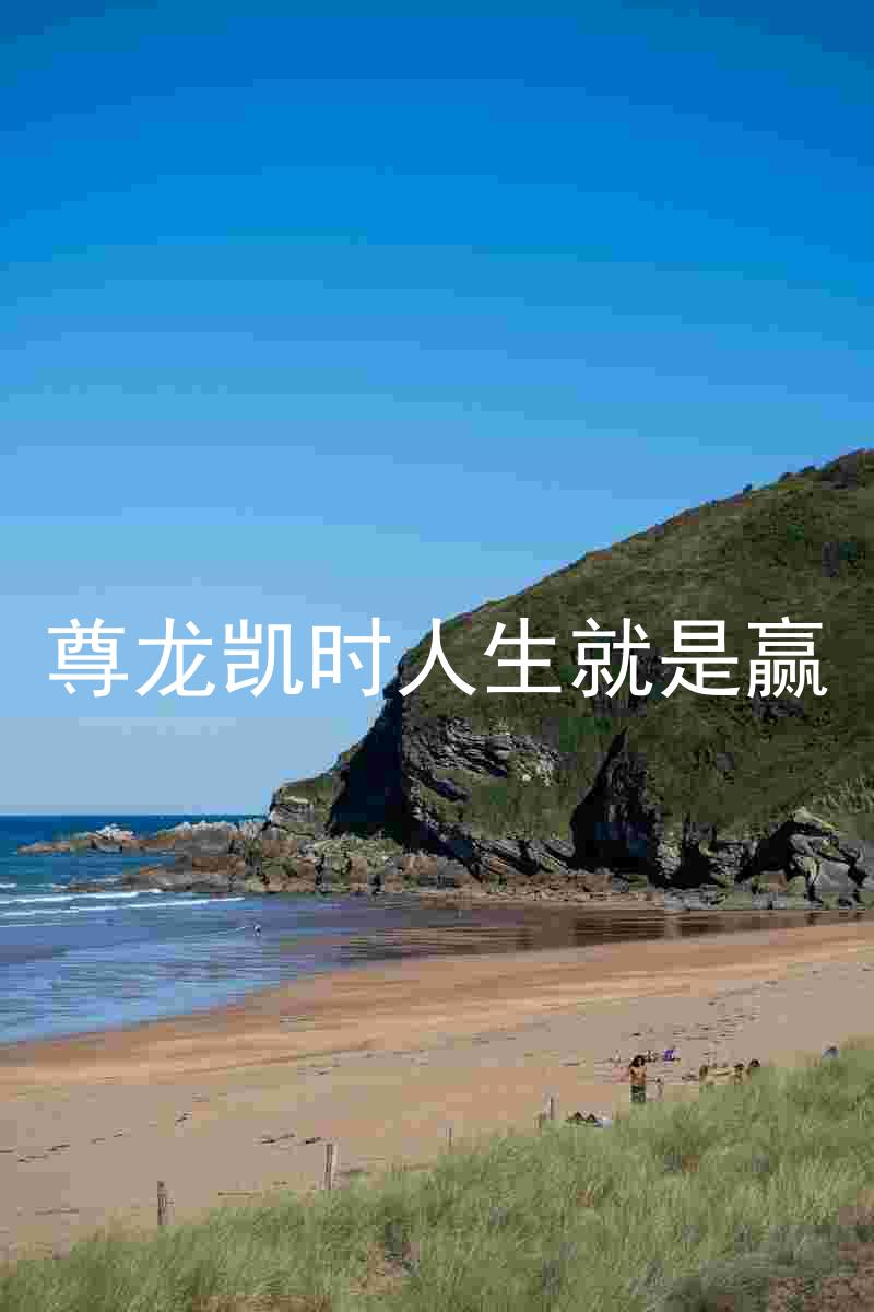 尊龙凯时人生就是赢